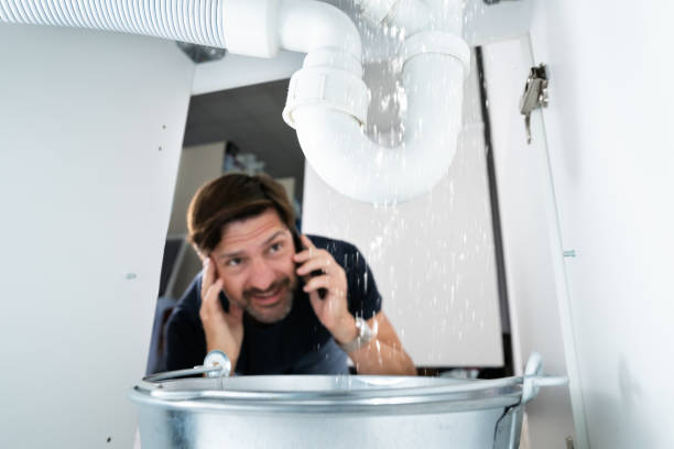 Best Water Softener Installation  in Alderwood Manor, WA